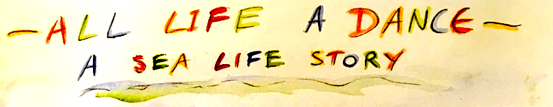 Drawn title from All life a dance : a sea life story